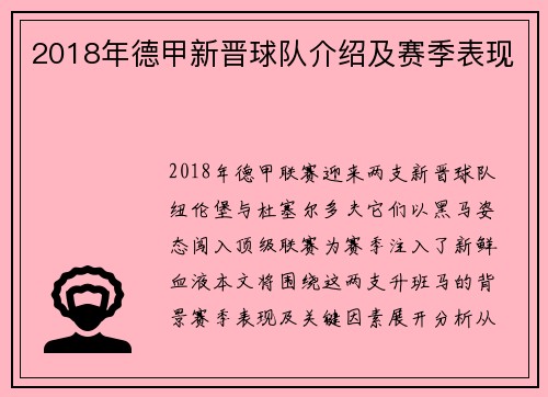 2018年德甲新晋球队介绍及赛季表现